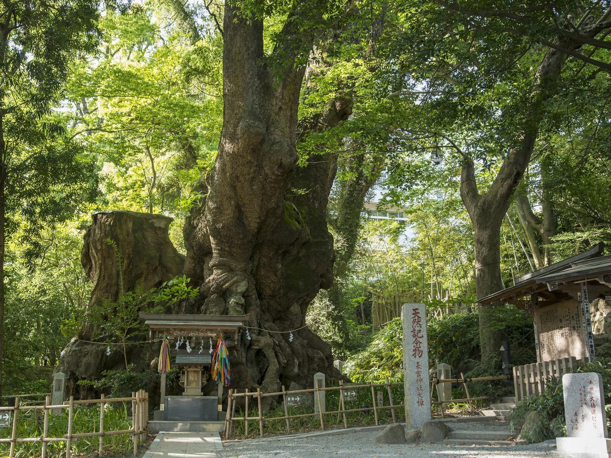 Tkp Lectore Atami Momoyama Bagian luar foto
